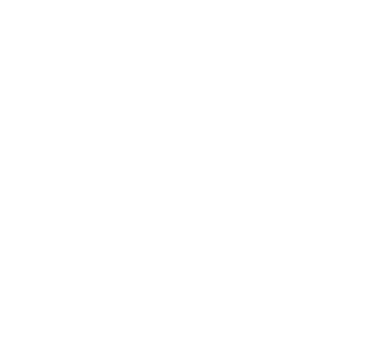 Southern Companies of Virginia